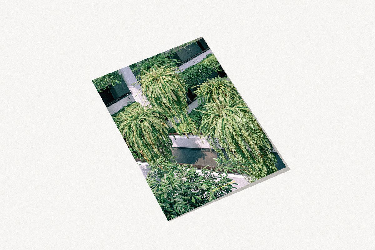 네버트라이네버노(NEVER TRY NEVER KNOW) 인테리어 포스터 Morning Stroll - 태국 방콕 3