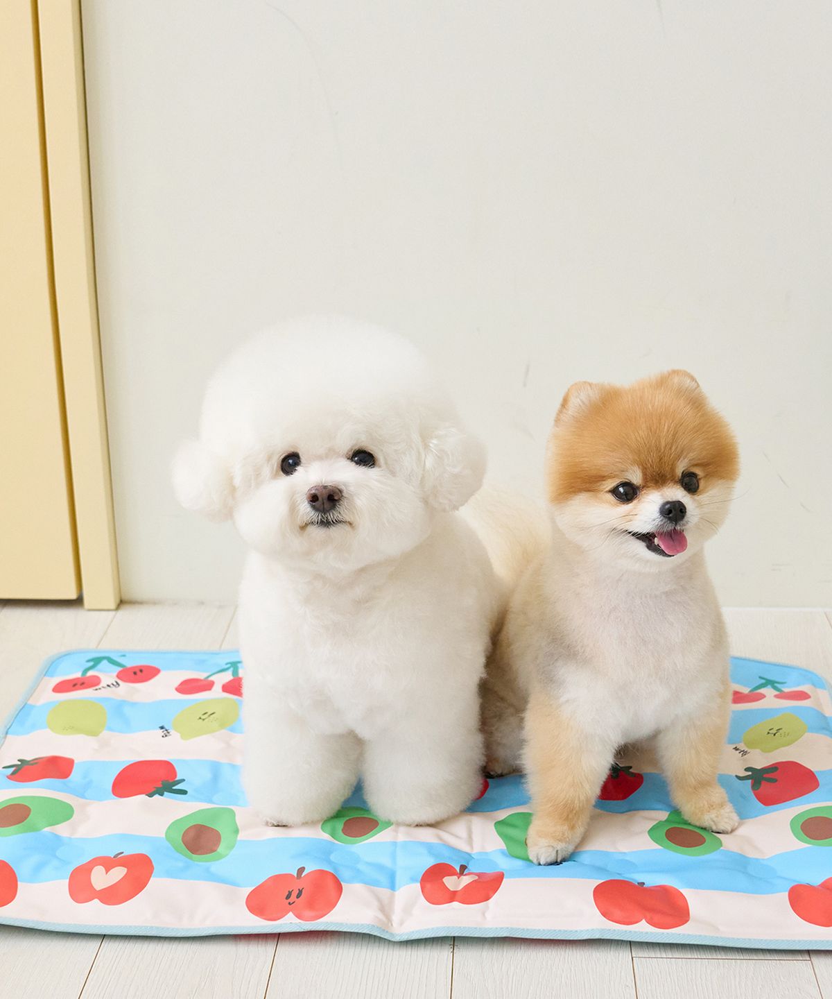 위드토리(WITH TORY) 체리베어&후르츠프렌즈 양면 강아지 쿨젤 매트 (3가지 사이즈)
