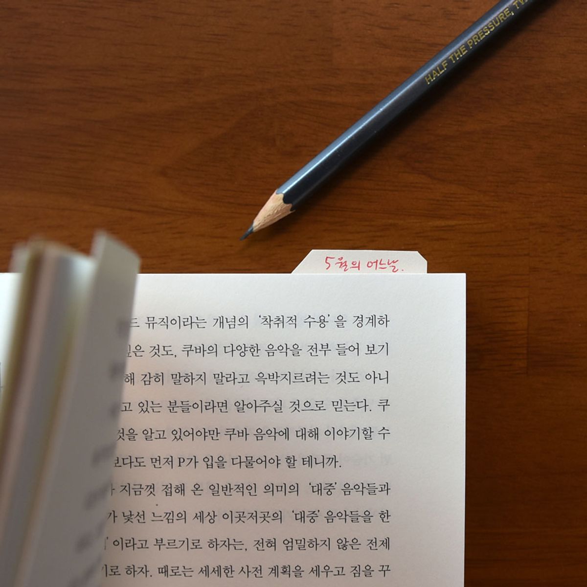 플레픽(PLEPIC) 스티키메모파일 (접어 쓰는 점착식 메모지)x2개
