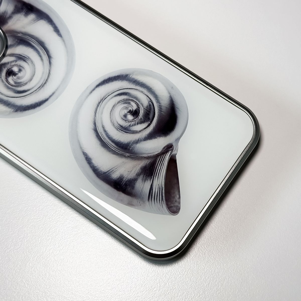 메모리즈바운더리(MEMORIESBOUNDARY) NTA Silverborn Concha Phone Case (SV_White)