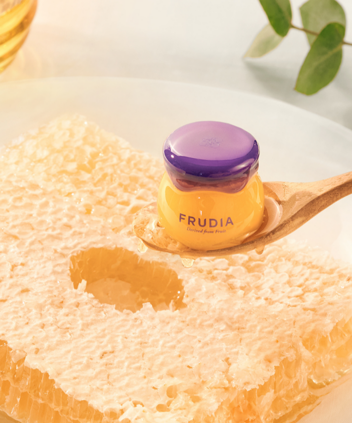 후르디아(FRUDIA) [입술각질순삭] 블루베리 고보습 허니 립밤 2개 (튜브+단지)