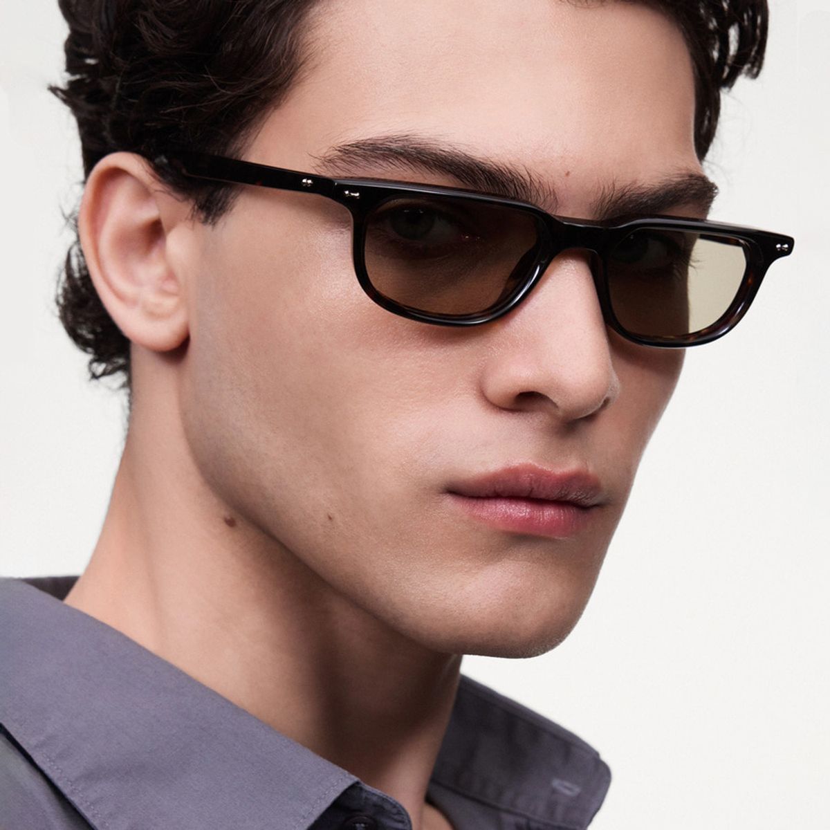 치미(CHIMI) 노비스 NOVIS TORTOISE