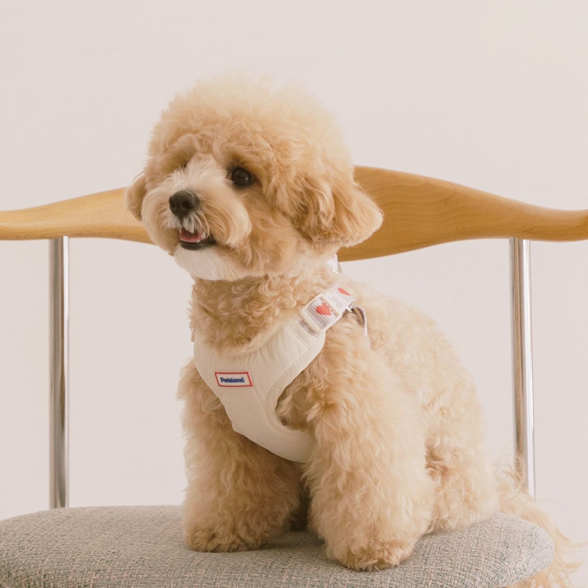 펫츠랜드(PETSLAND) 하트팝하네스 S-L