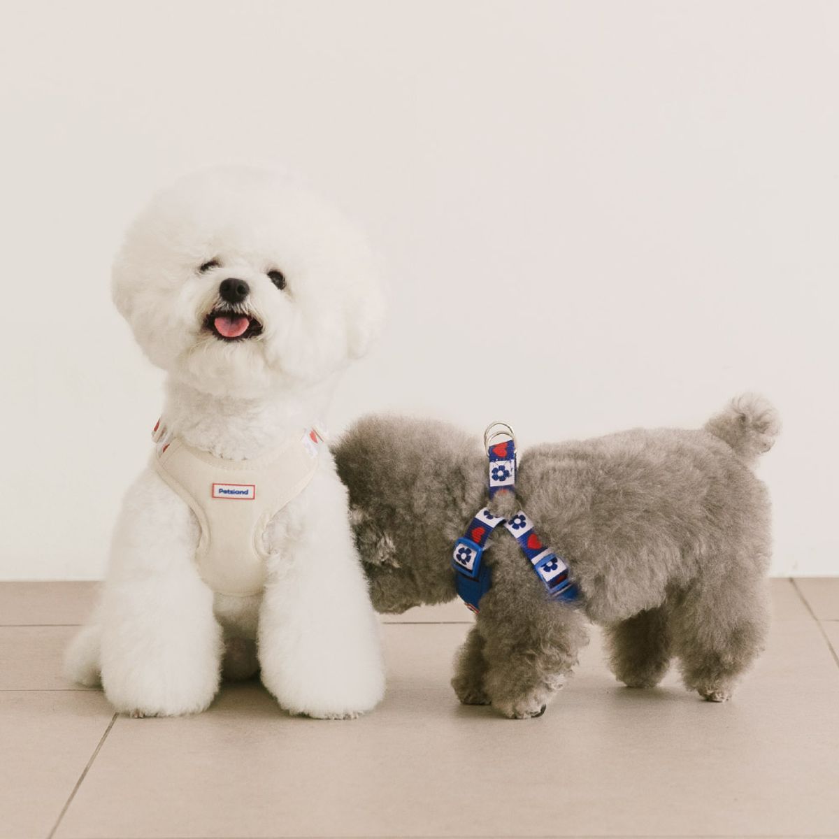 펫츠랜드(PETSLAND) 하트팝하네스 S-L