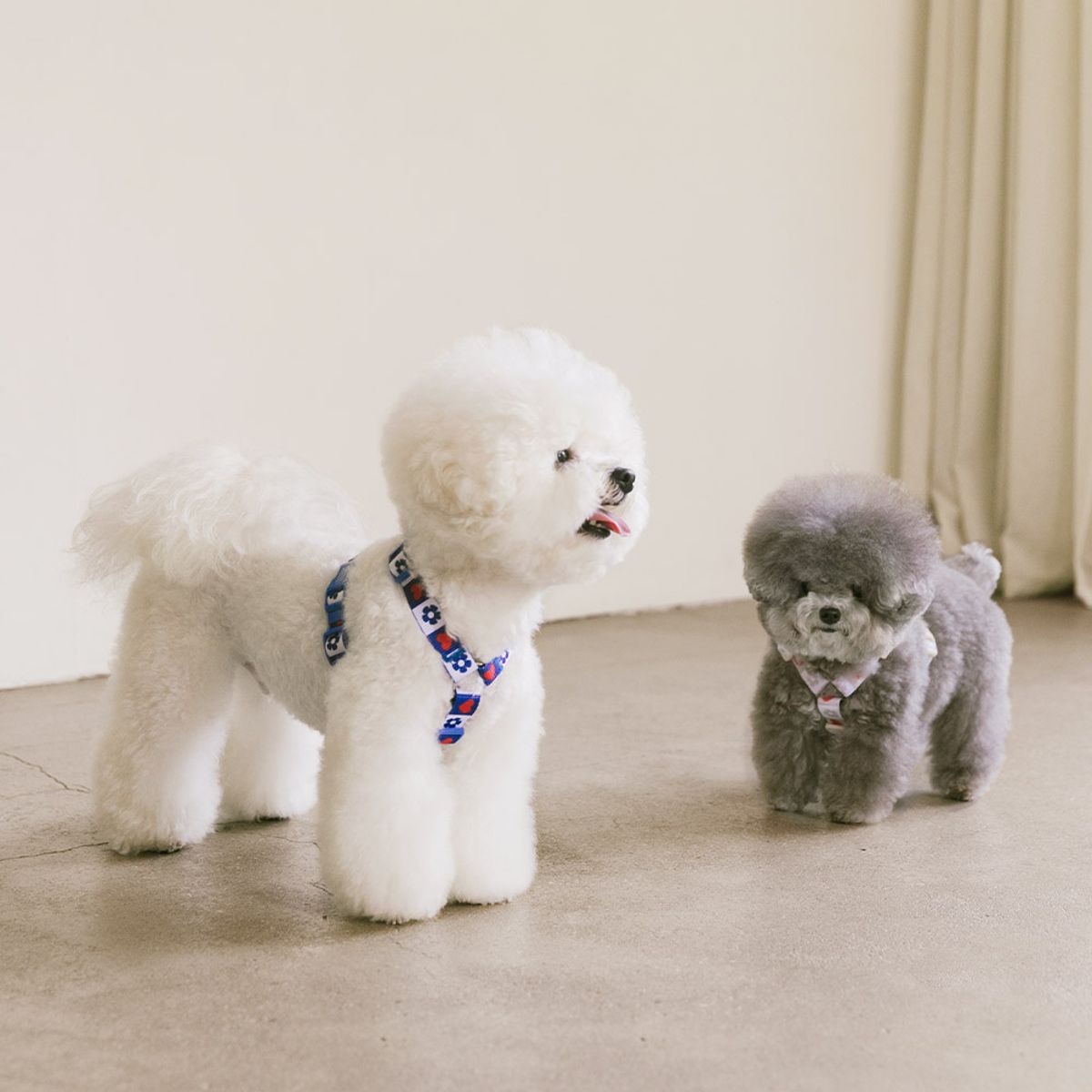 펫츠랜드(PETSLAND) 하트팝 H형 하네스 S-L