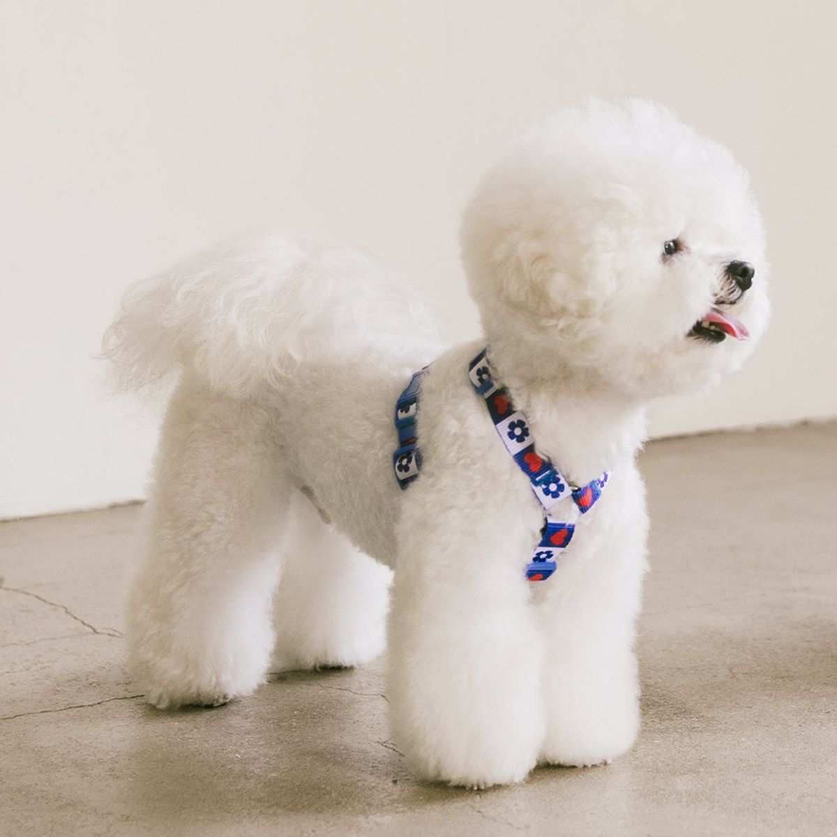 펫츠랜드(PETSLAND) 하트팝 H형 하네스 S-L