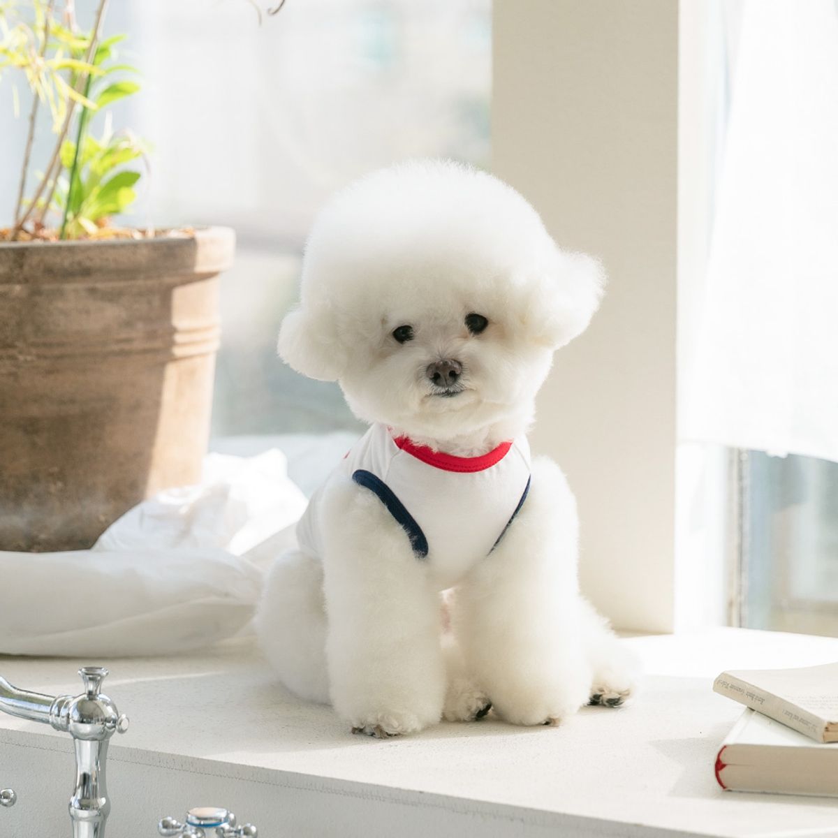 펫츠랜드(PETSLAND) 애플러쉬티셔츠 S-2XL
