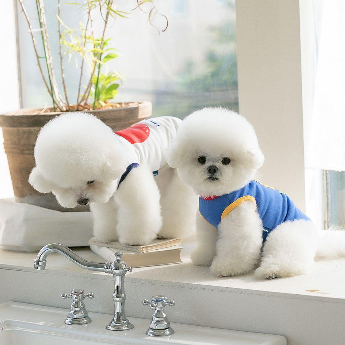 펫츠랜드(PETSLAND) 애플러쉬티셔츠 S-2XL
