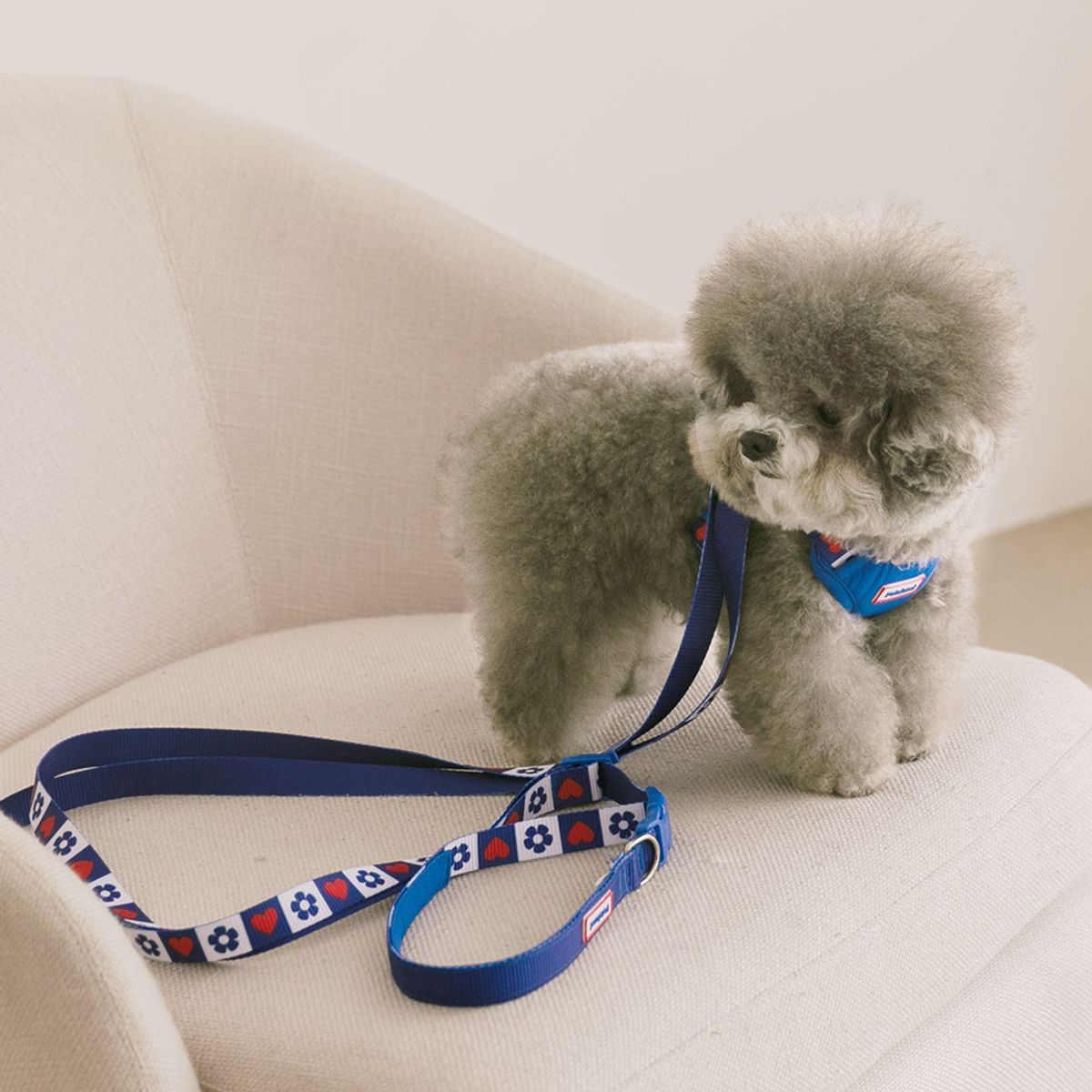 펫츠랜드(PETSLAND) 하트팝 핸즈프리 리드줄