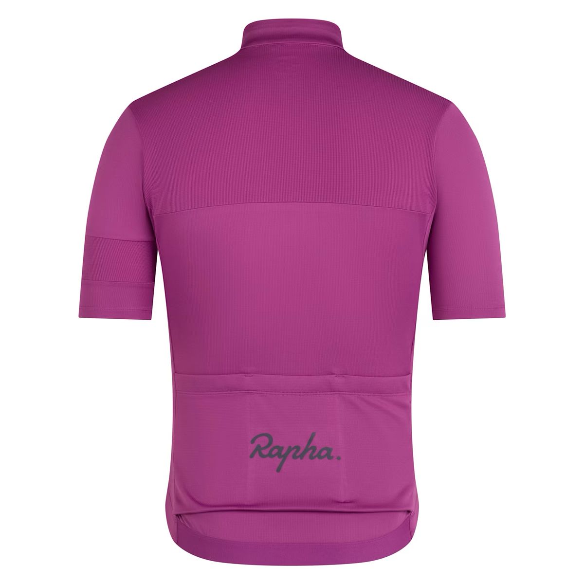 라파(RAPHA) 남성용 브레베 엘리먼트 져지 아메시스트