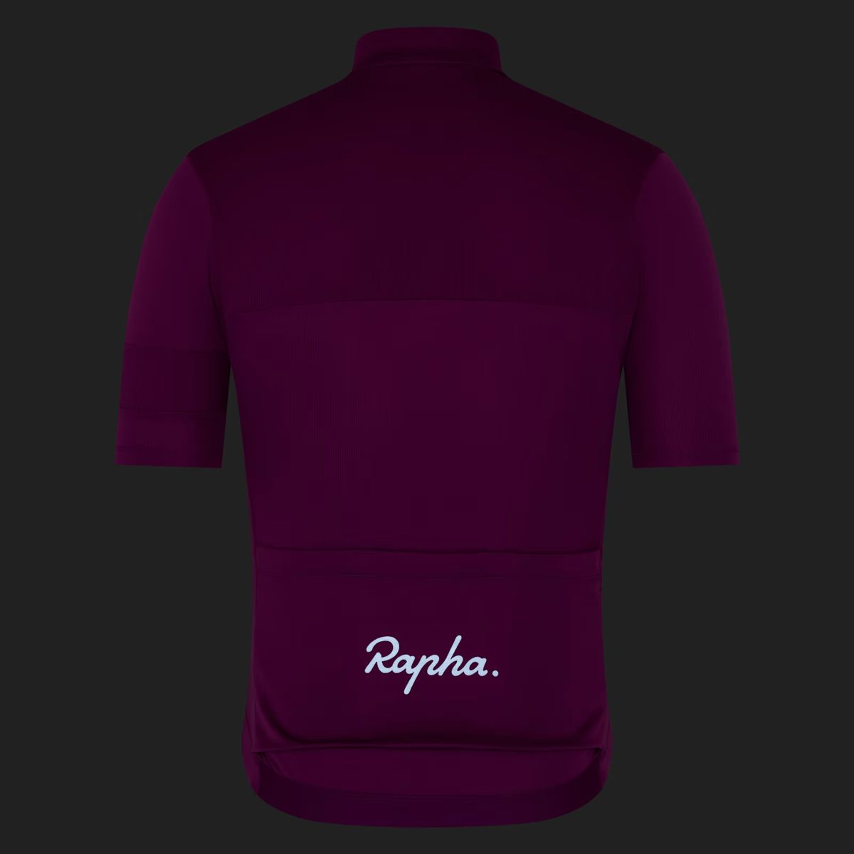 라파(RAPHA) 남성용 브레베 엘리먼트 져지 아메시스트