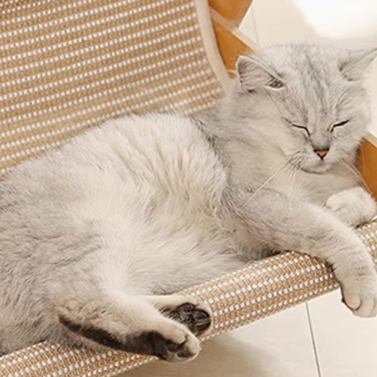 개과천선(GAEKWACHEONSUN) 어몽드 베드볼 고양이 스크래쳐 소파