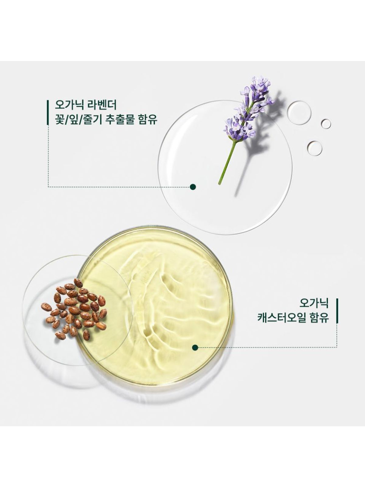 르네휘테르(RENE FURTERER) 나뚜리아 드라이 샴푸 200ml