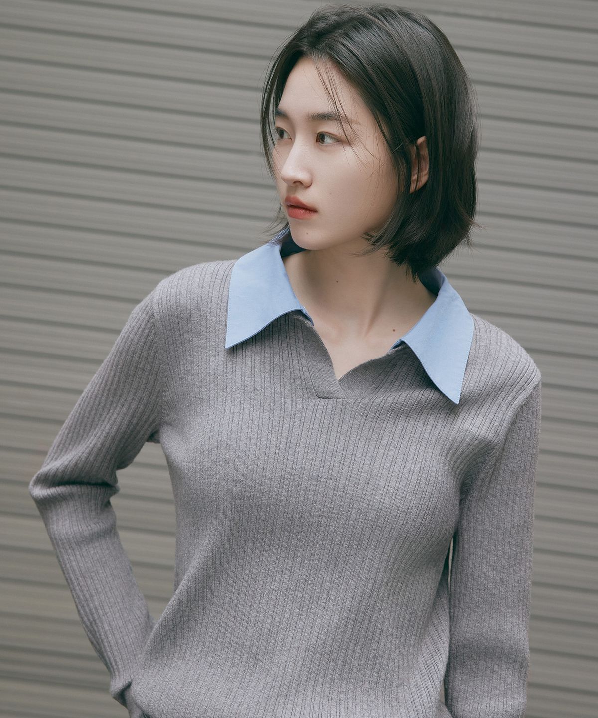 마인드브릿지 우먼(MIND BRIDGE WOMEN) [W]셔츠 카라 골지 니트