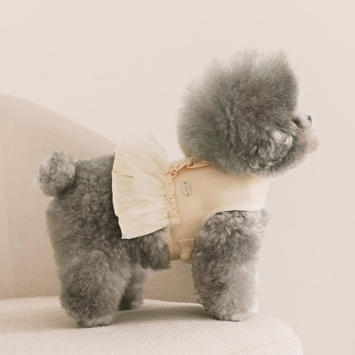 펫츠랜드(PETSLAND) 슈슈하네스 S-L