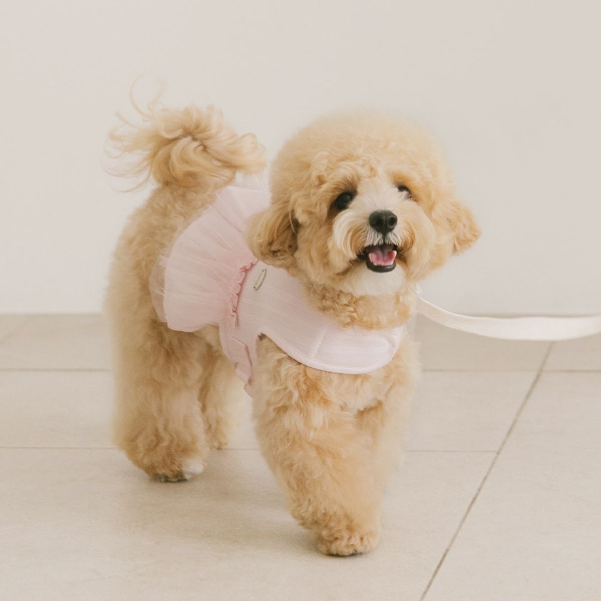 펫츠랜드(PETSLAND) 슈슈하네스 S-L