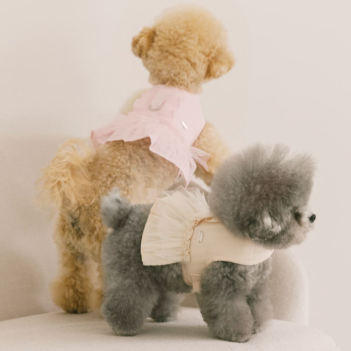 펫츠랜드(PETSLAND) 슈슈하네스 S-L