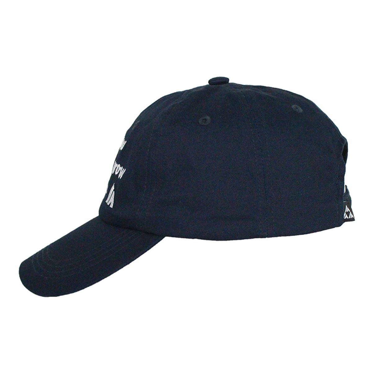 리드로(LEADRAW) Lettering ball cap(growth)_Navy
