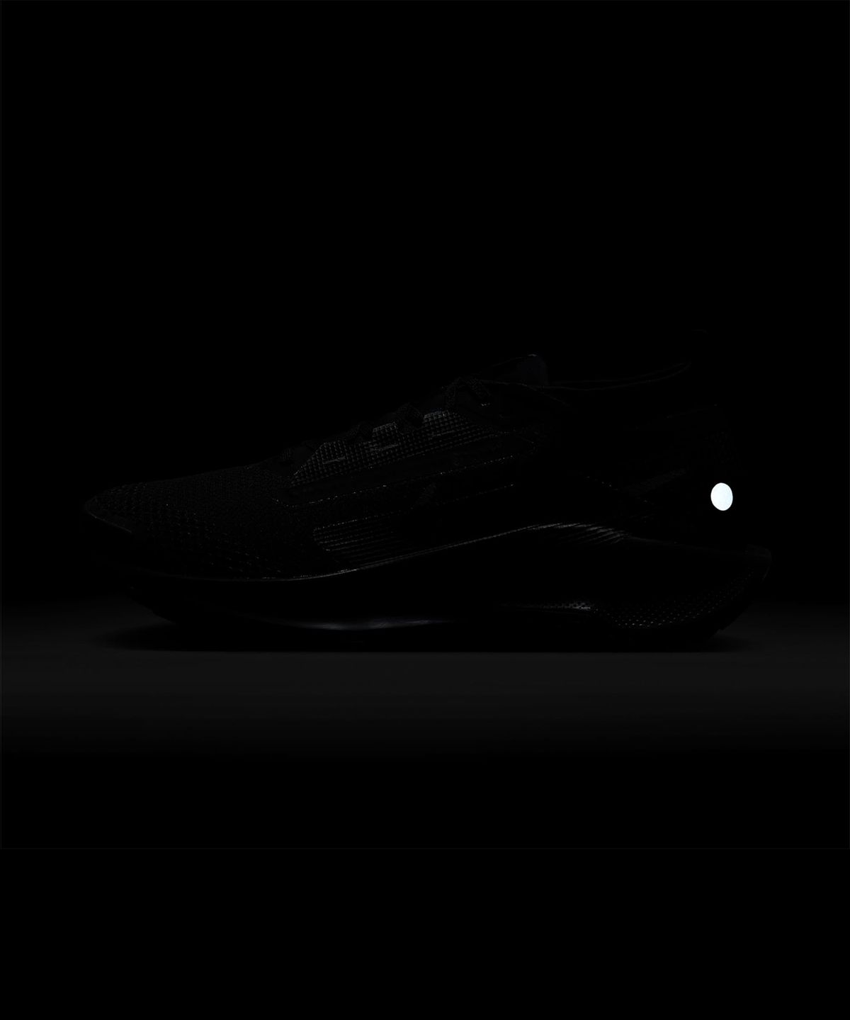 나이키(NIKE) 페가수스 트레일 5 GORE-TEX M - 블랙:앤트러사이트:블랙 / FQ0908-002