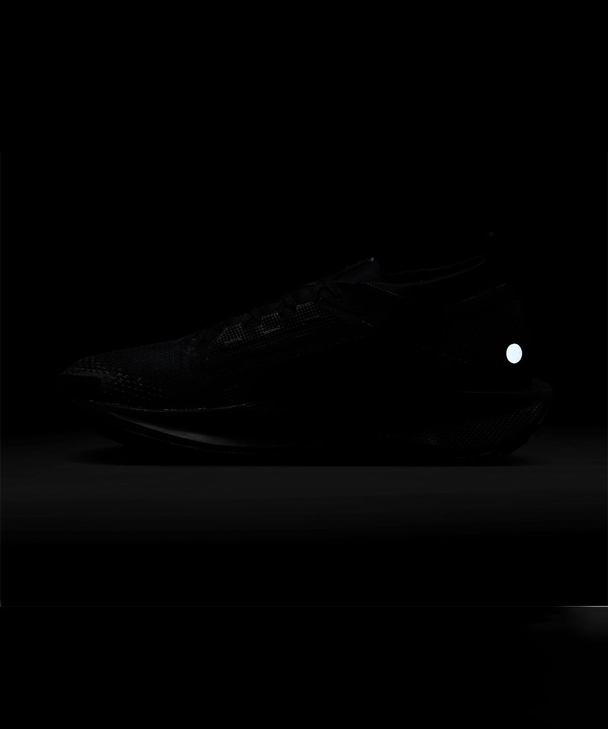나이키(NIKE) 페가수스 트레일 5 GORE-TEX M - 블랙:앤트러사이트:블랙 / FQ0908-002
