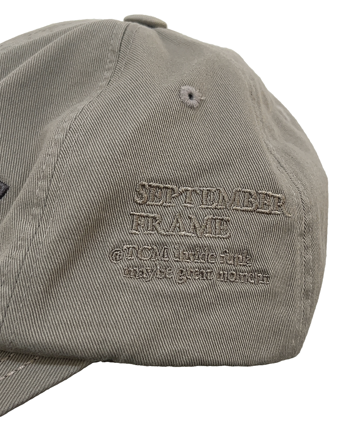 더콜디스트모먼트(THE COLDEST MOMENT) TCM frame cap (beige)