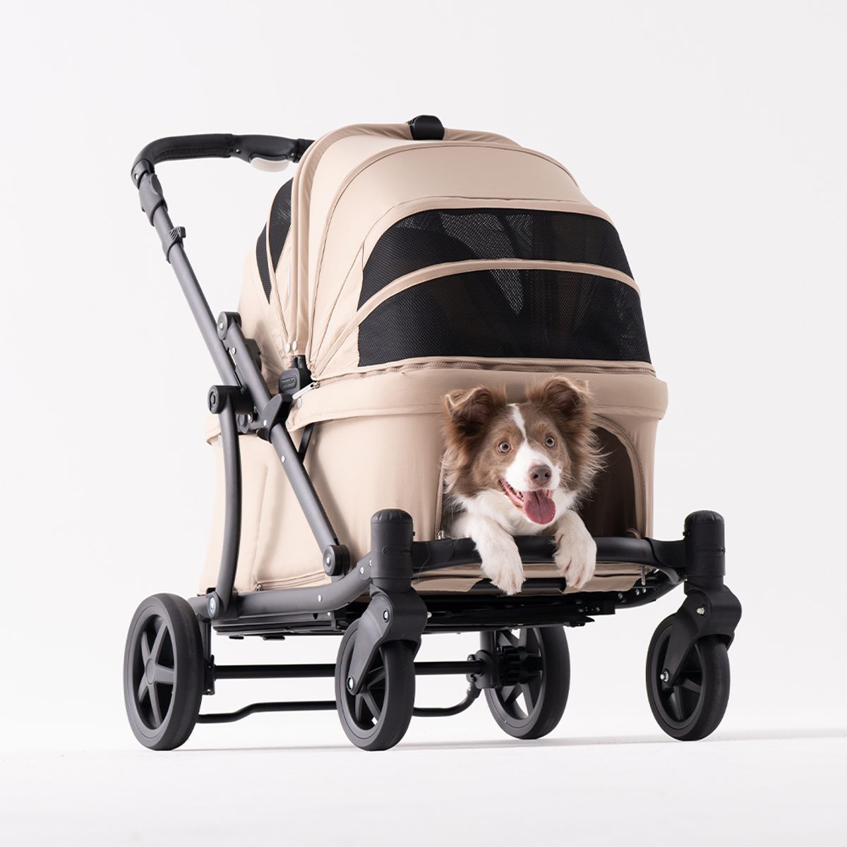 폼포라펫(POMPORAPET) 클래식 웨건 강아지유모차 펫웨견 5color