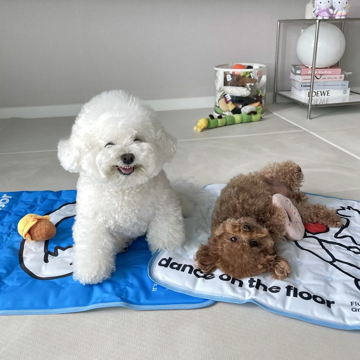 댄스온더플로어(DANCEONTHEFLOOR) Hype coolin mat 2design