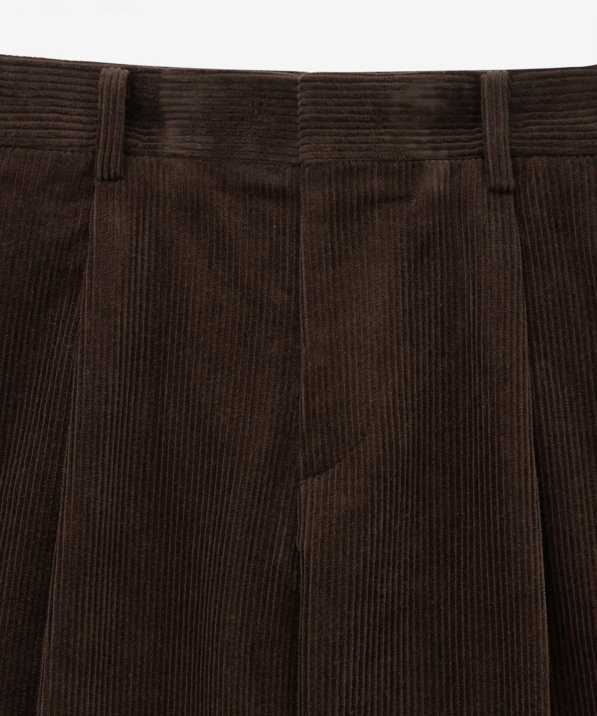 티엔지티(TNGT) Corduroy Semi Wide Pants (Brown) TNPA5F107W2