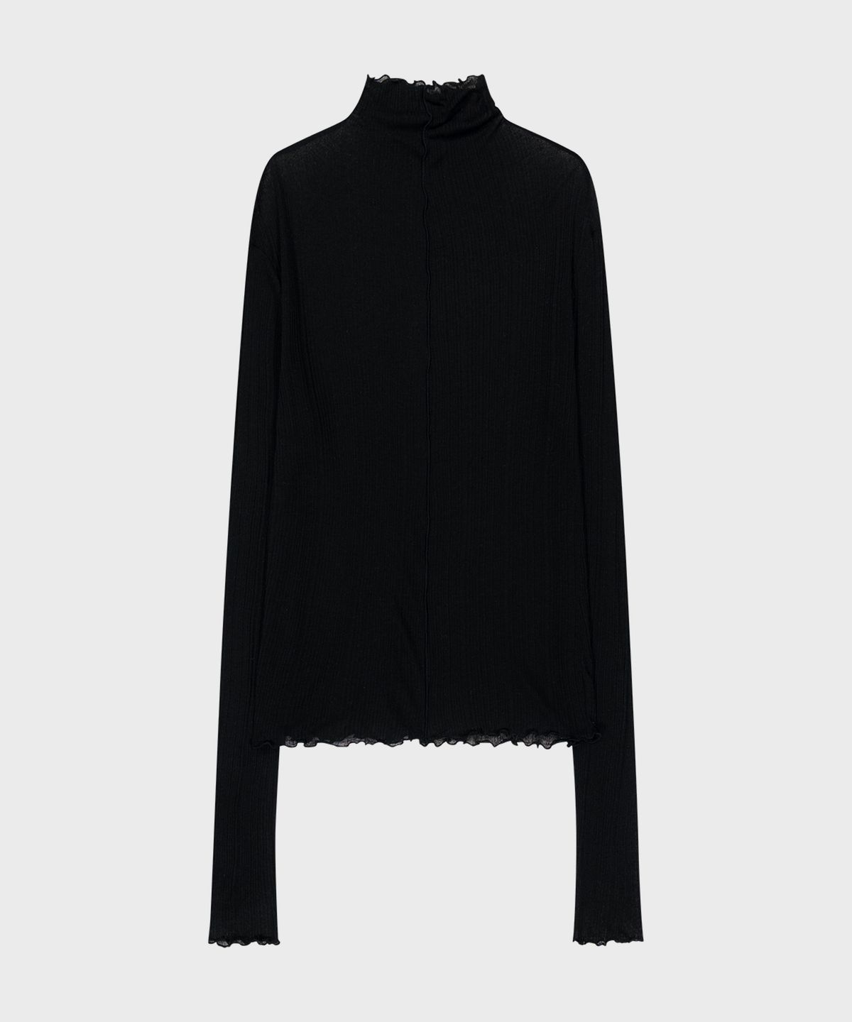 포르테나(PORTERNA) LINING SHEER TURTLE NECK T-SHIRT-BLACK