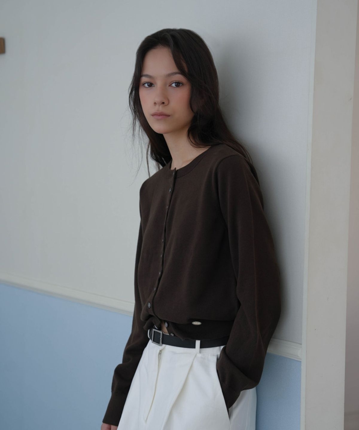 드헤베(DEHEVE) Signiture Pearl Button Cardigan [Brown]