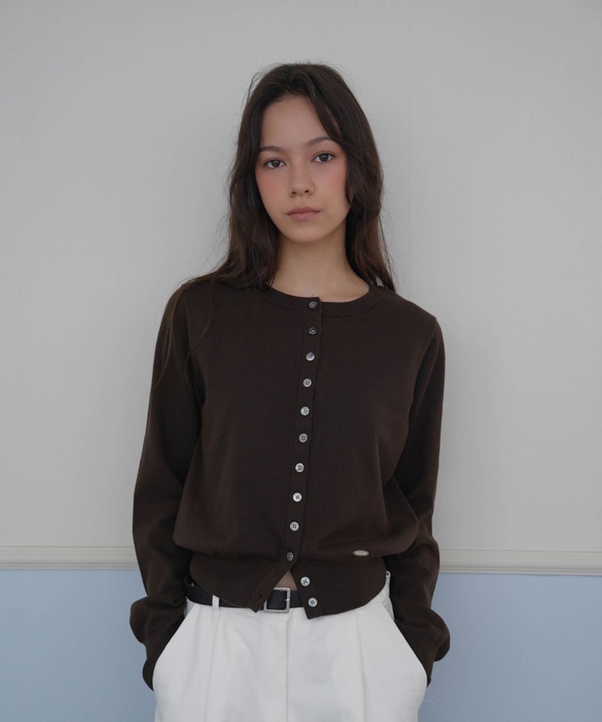드헤베(DEHEVE) Signiture Pearl Button Cardigan [Brown]