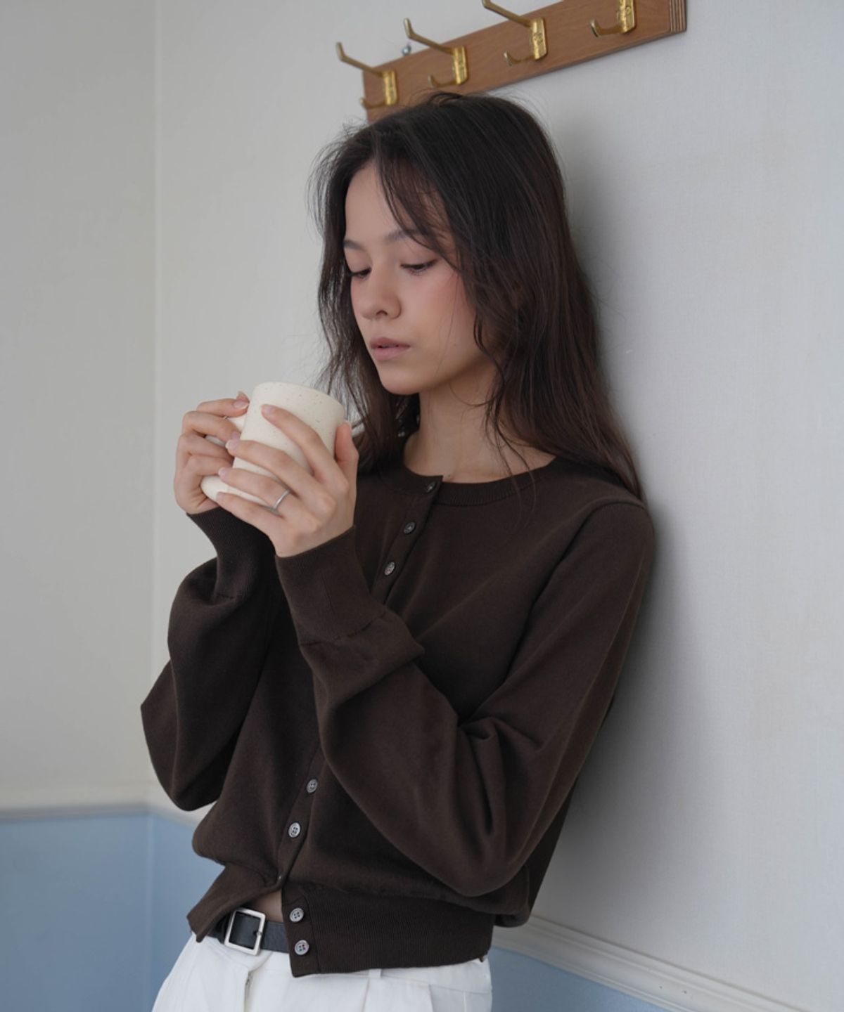 드헤베(DEHEVE) Signiture Pearl Button Cardigan [Brown]