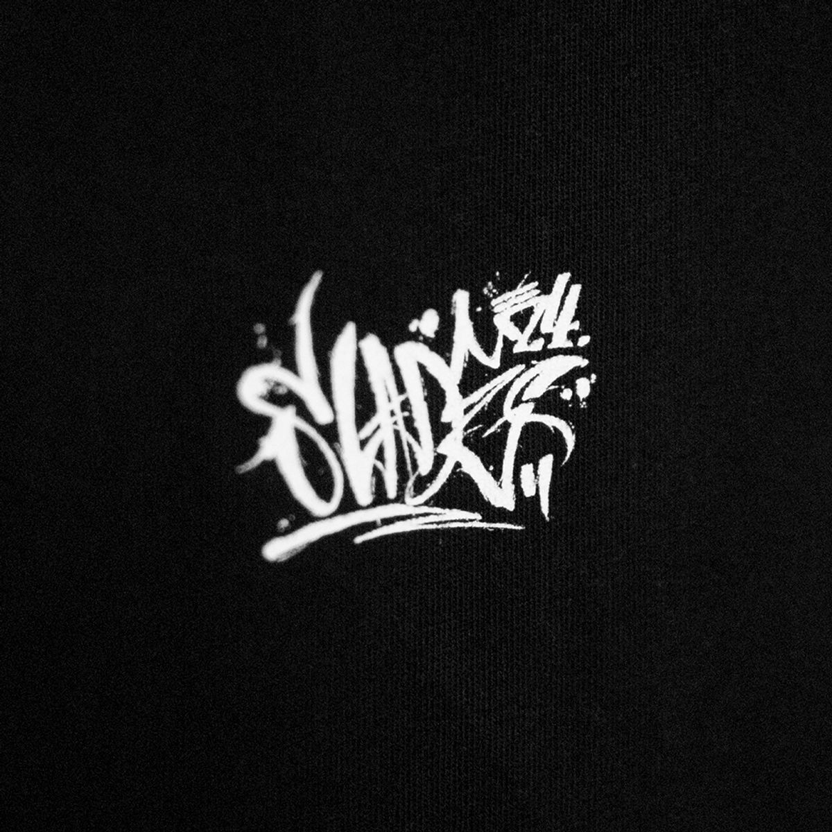 슬레이즈(SLDS) 그래피티 반팔 티셔츠 (블랙)