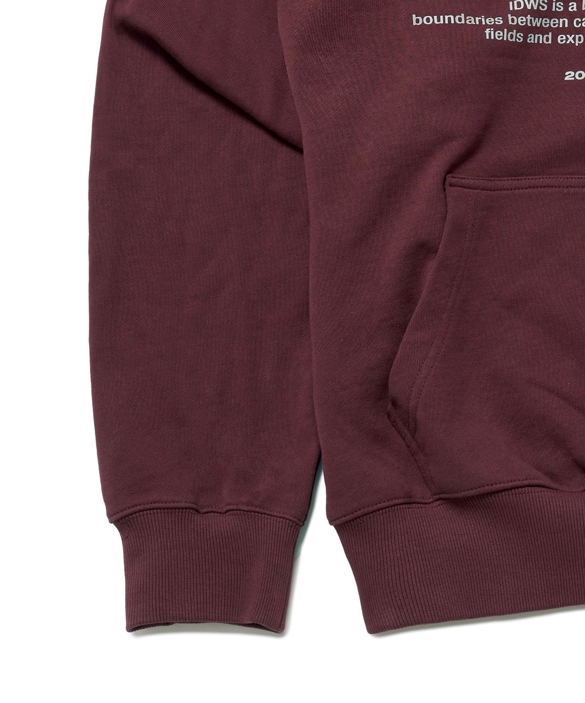 아이돈워너셀(IDWS) System Down Hoodie Burgundy