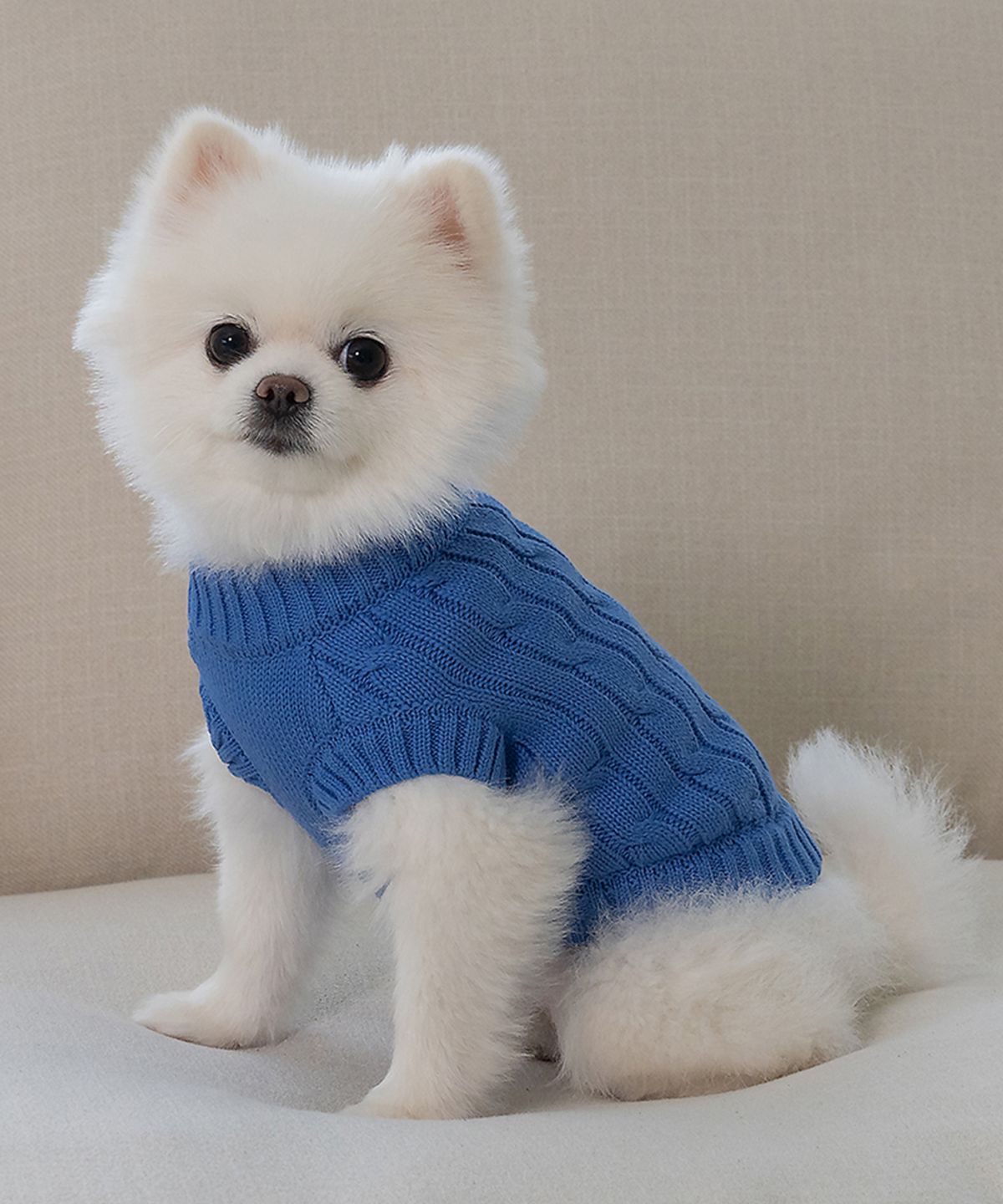 도그아이(DOGI) 강아지 실내복 순면 니트 블루