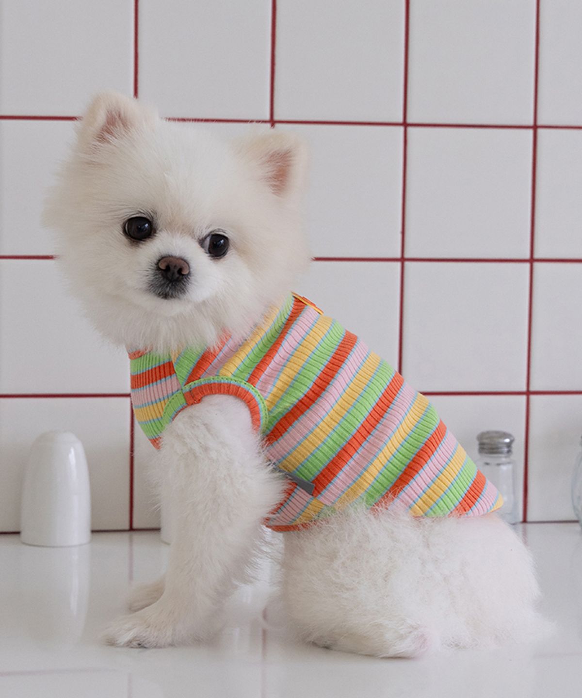 도그아이(DOGI) 강아지 레인보우 티셔츠 코랄레몬