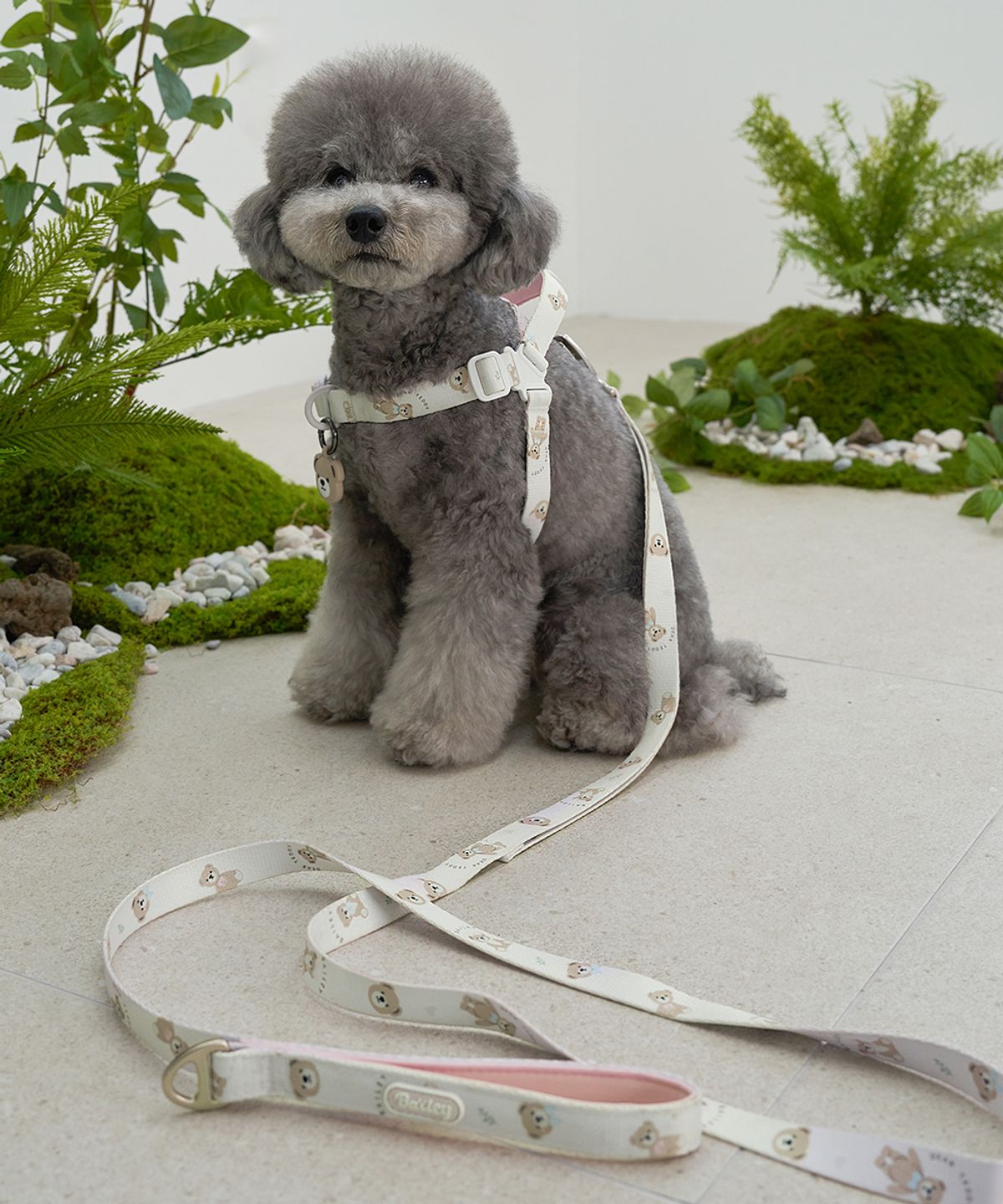 베일리(BAILEY) 강아지 산책 테디 워키 리드줄