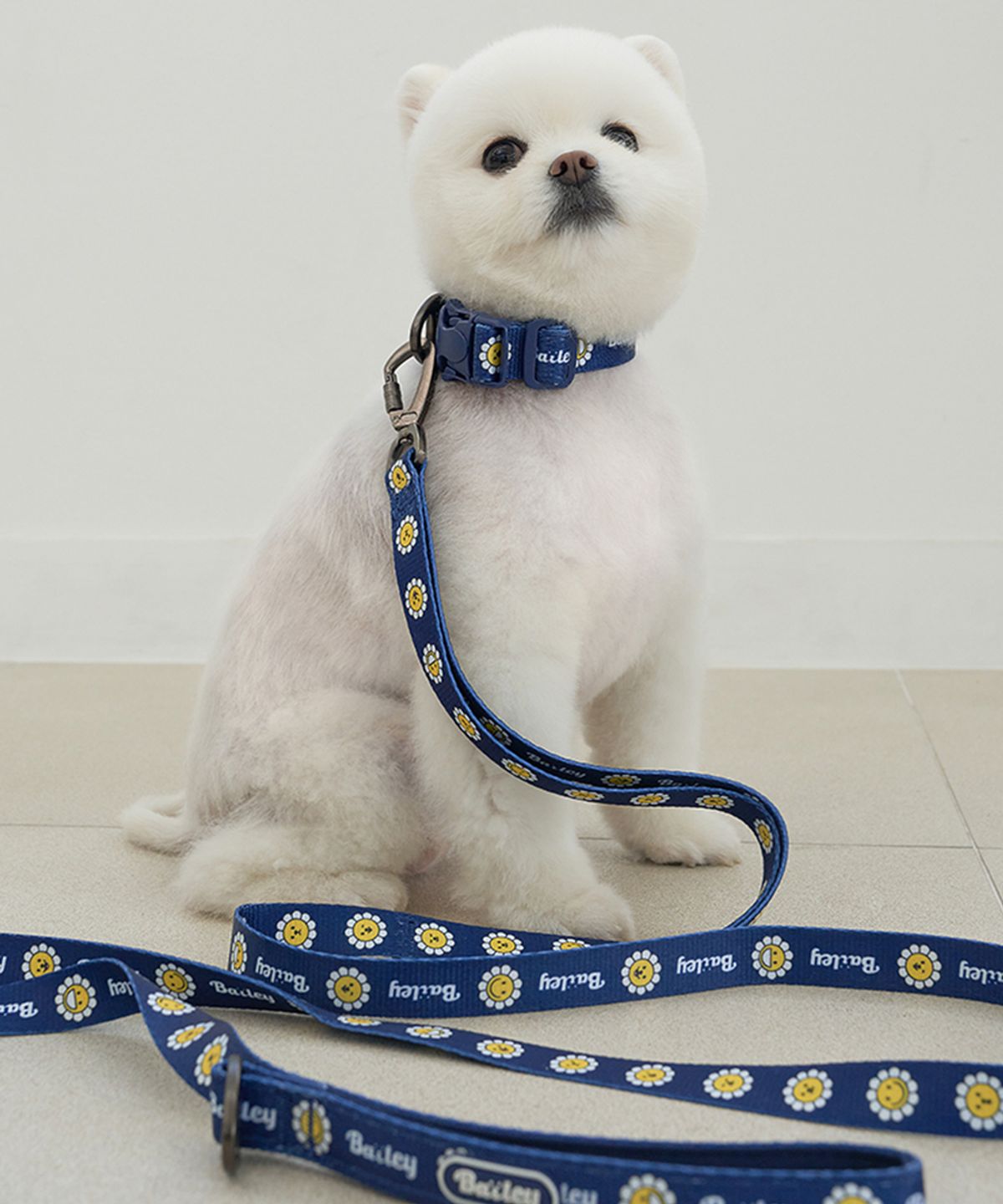 베일리(BAILEY) 강아지 산책 데이지 워키 리드줄