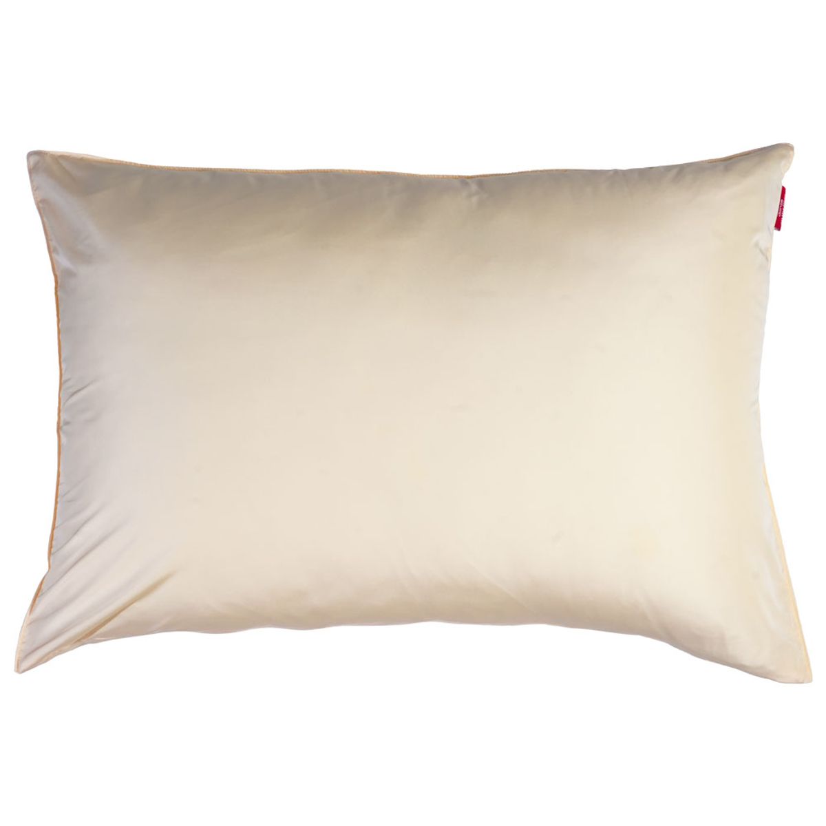 댄스온더플로어(DANCEONTHEFLOOR) Furless Pillow Cover 퍼리스 알러지케어 베개 커버 11 Color (70x50)