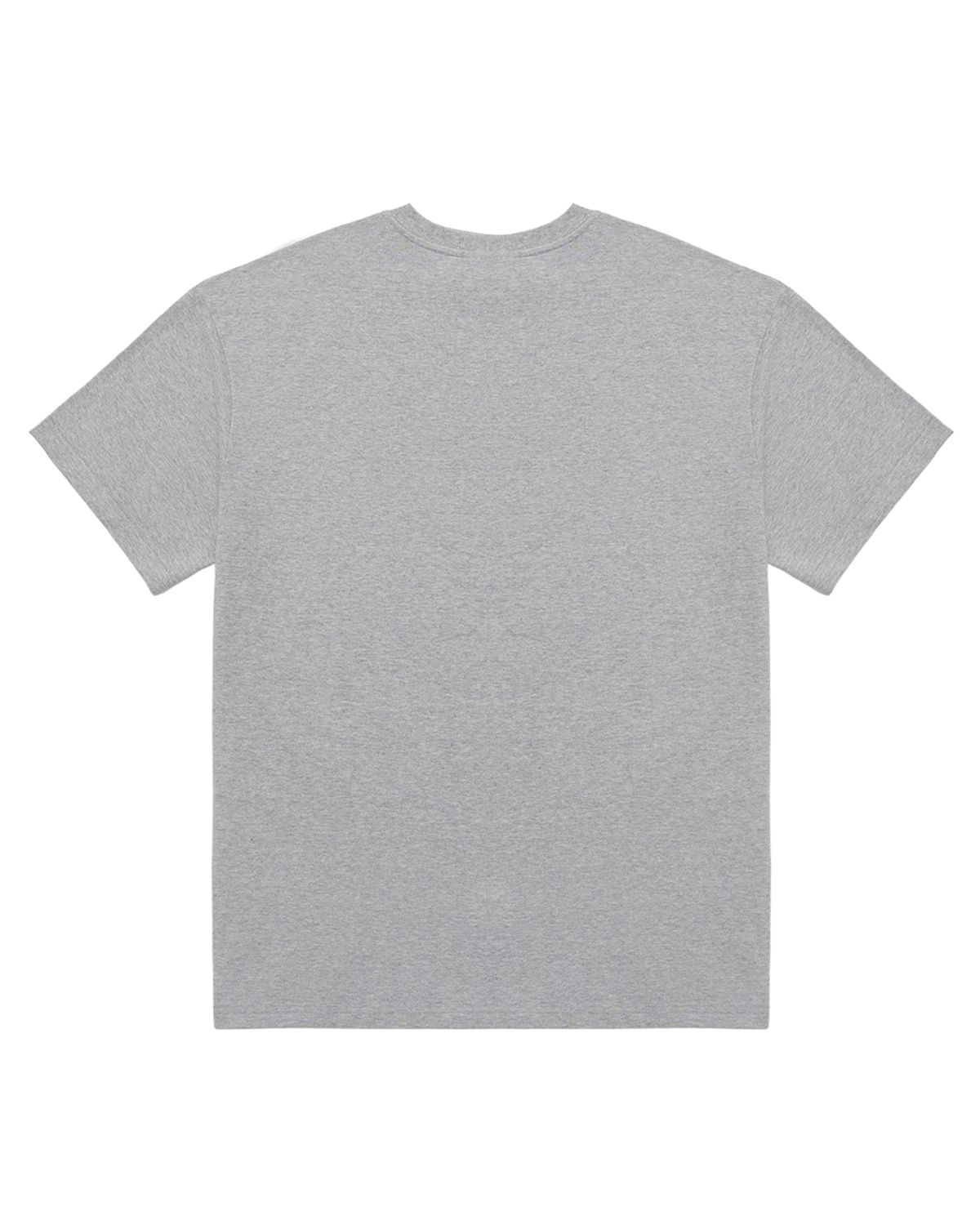 이브인더월드(EVEINTHEWORLD) EVOLUTION T-SHIRT MELANGE GREY
