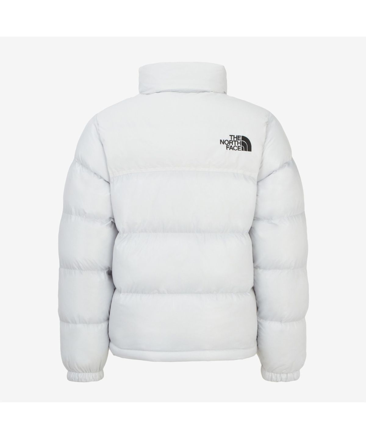 노스페이스(THE NORTH FACE) NJ3NR80B 여성 눕시 온볼 자켓 ICE GRAY