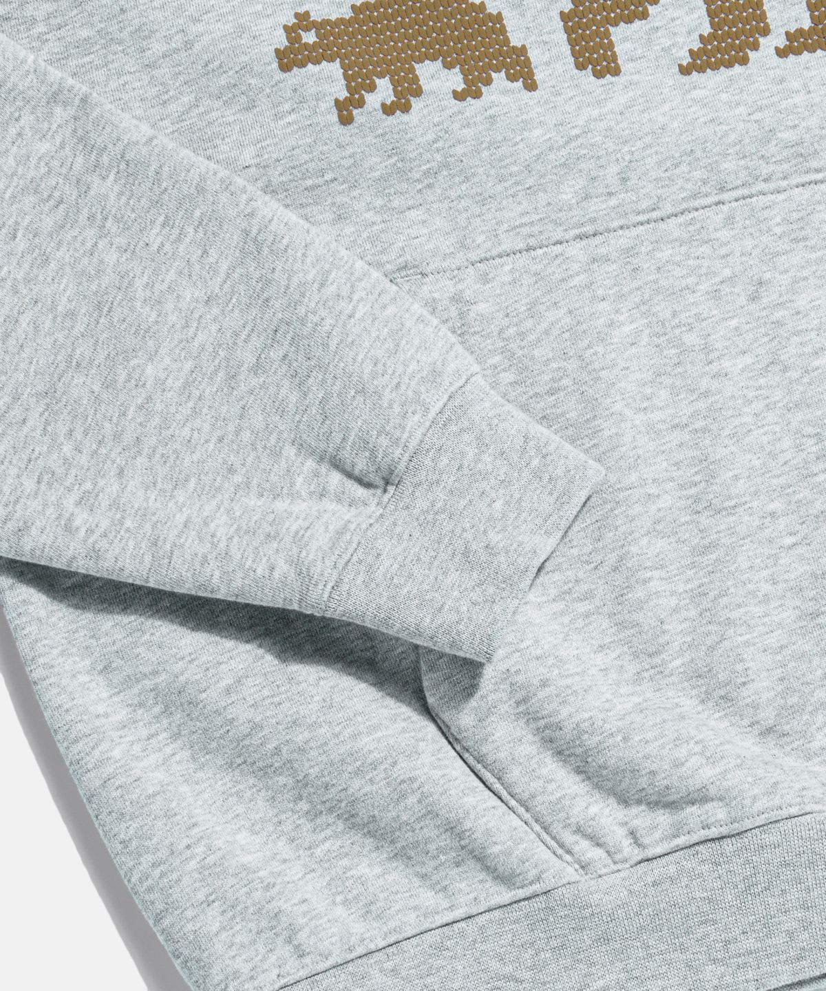 에스피오나지(ESPIONAGE) Bear Family Heavyweight Hoodie Grey