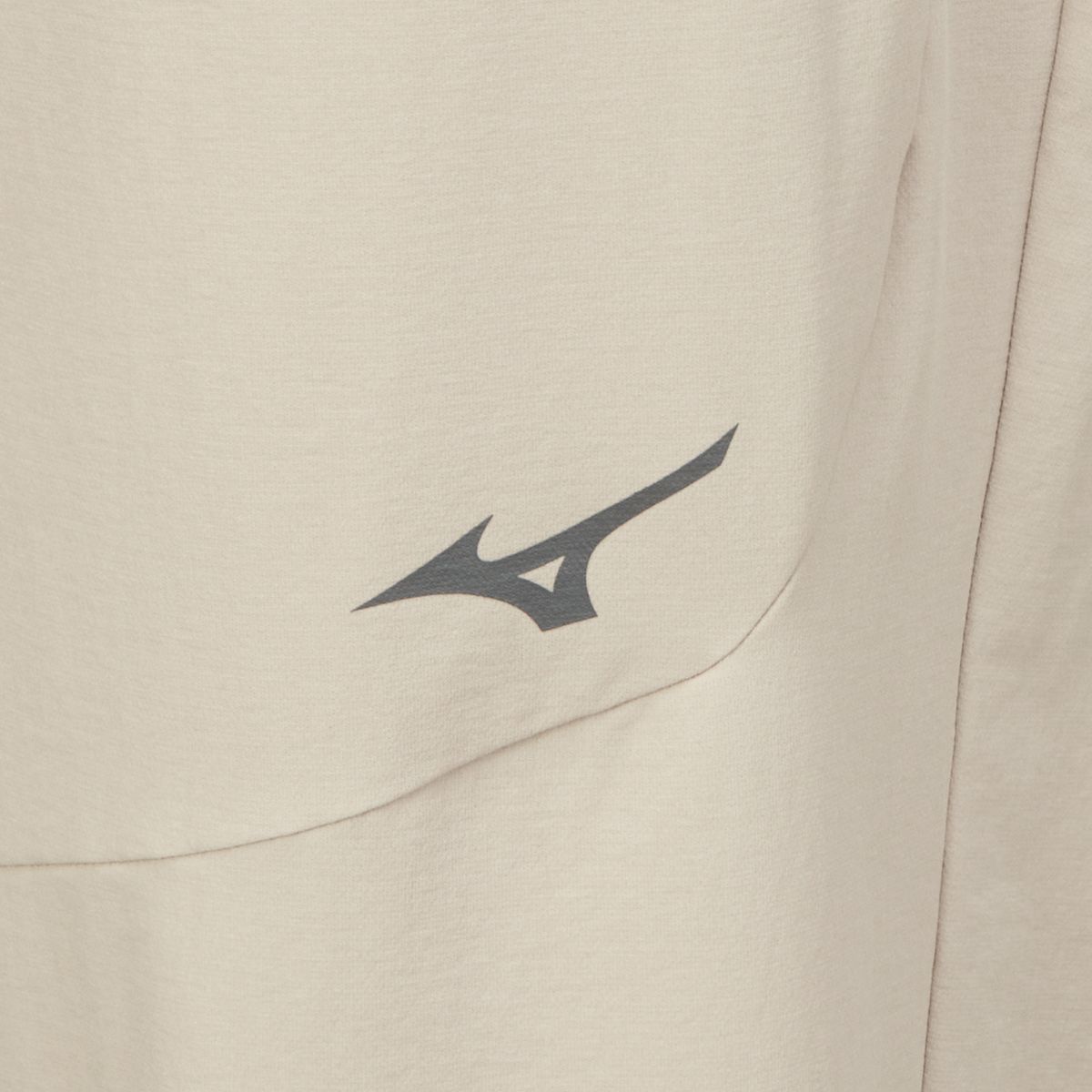 미즈노(MIZUNO) BRUSHED STRETCH PANTS_32YD5G20