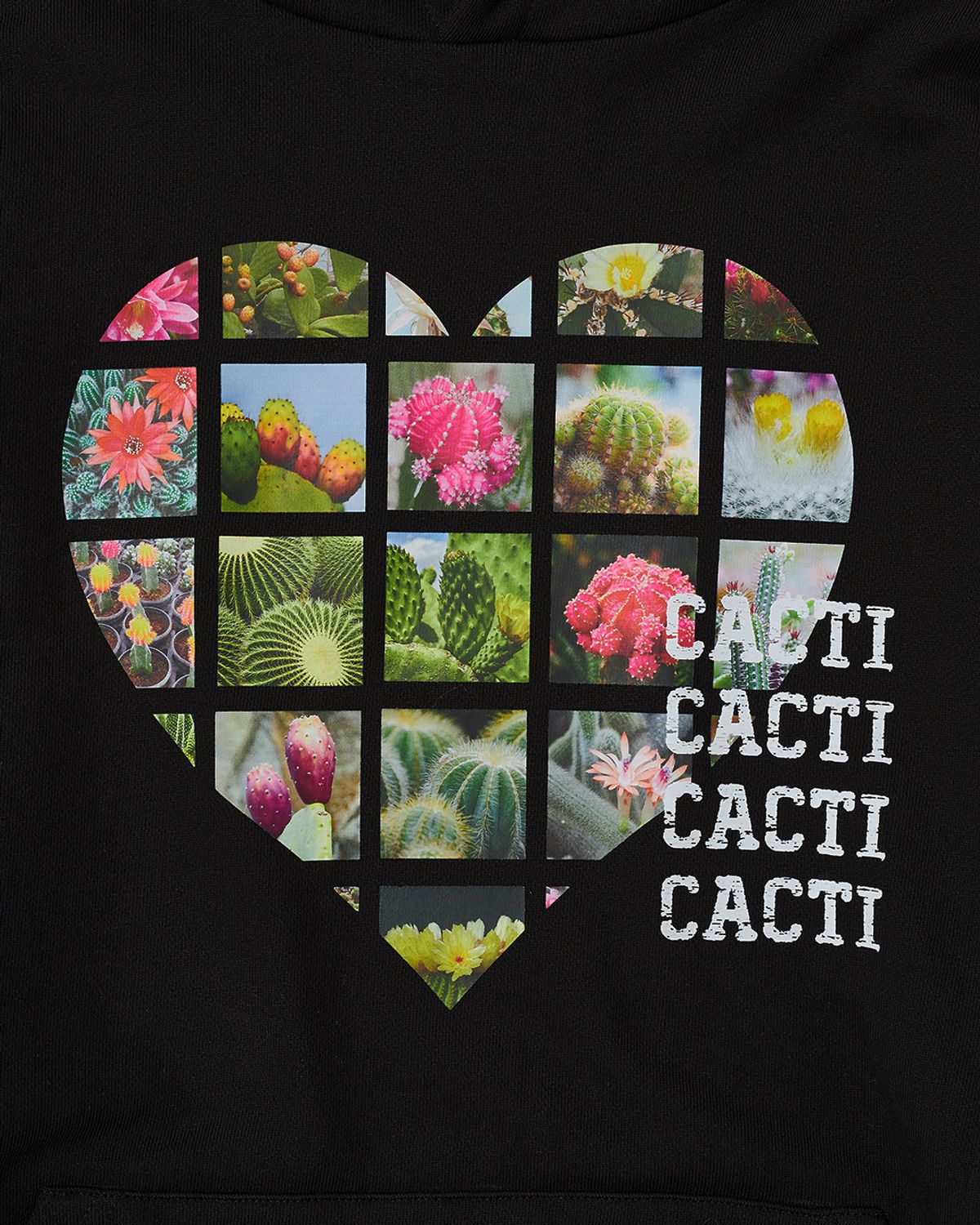 더뮤지엄비지터(THEMUSEUMVISITOR) ALL THAT CACTI HOODIE (BLACK)