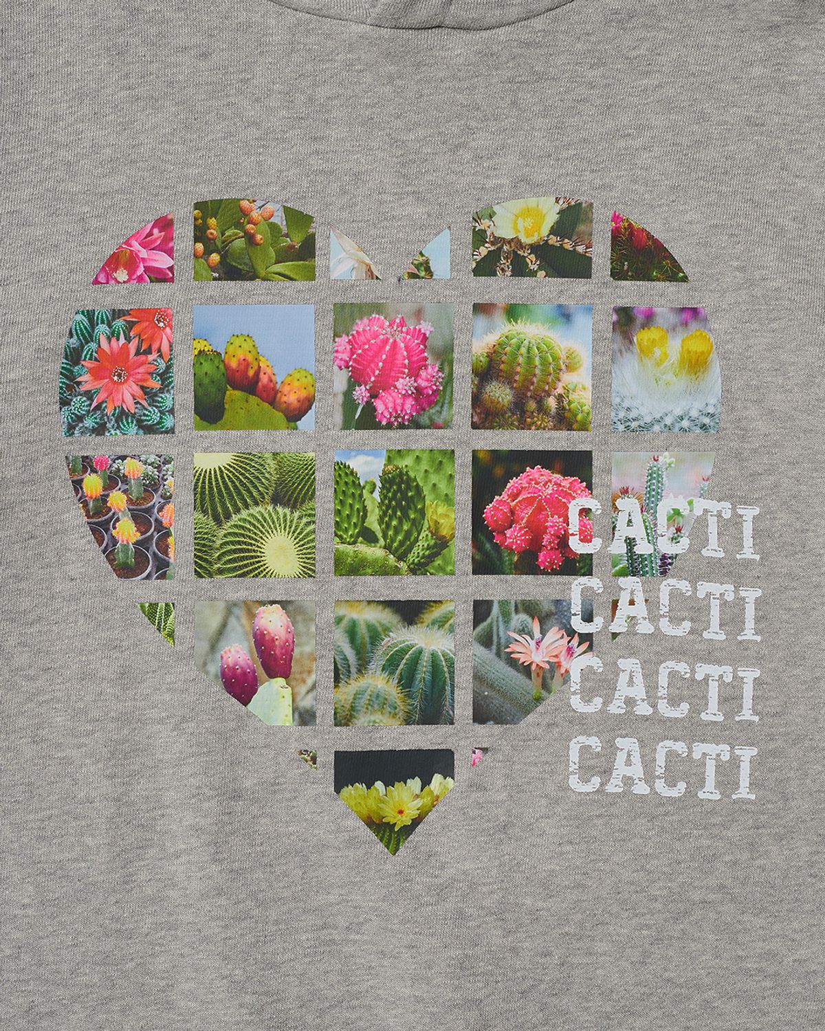 더뮤지엄비지터(THEMUSEUMVISITOR) ALL THAT CACTI HOODIE (GREY)