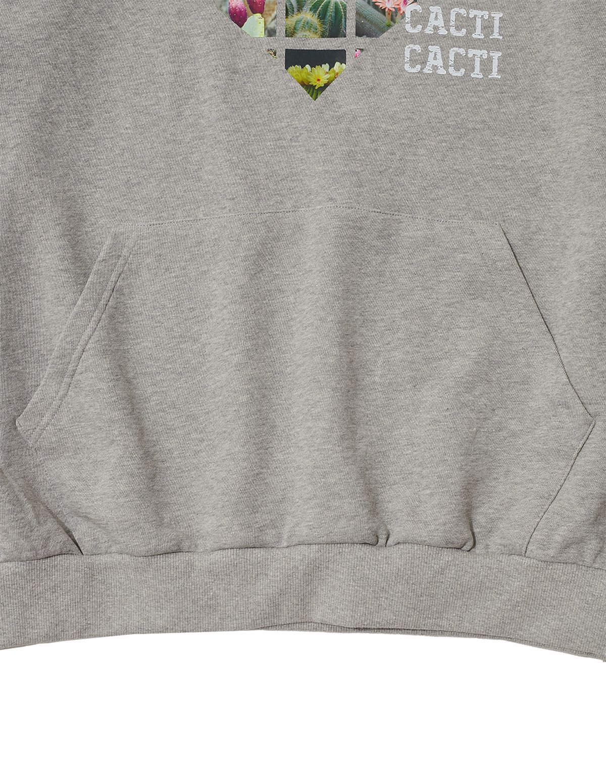 더뮤지엄비지터(THEMUSEUMVISITOR) ALL THAT CACTI HOODIE (GREY)