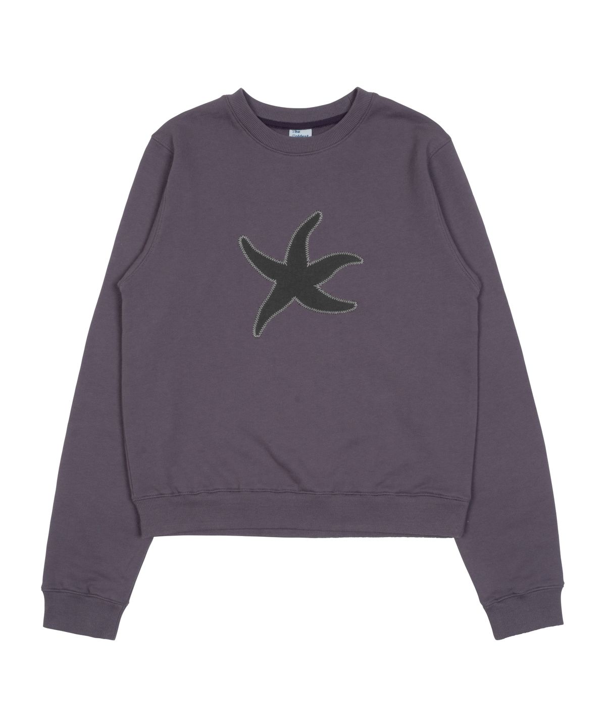 더콜디스트모먼트(THE COLDEST MOMENT) TCM starfish mtm (purple)