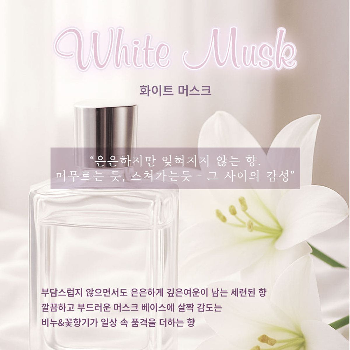 코끼리리빙(KOKIRILIVING) 건조기시트 건조기용 섬유유연제 시트 화이트머스크, 1개, 40매