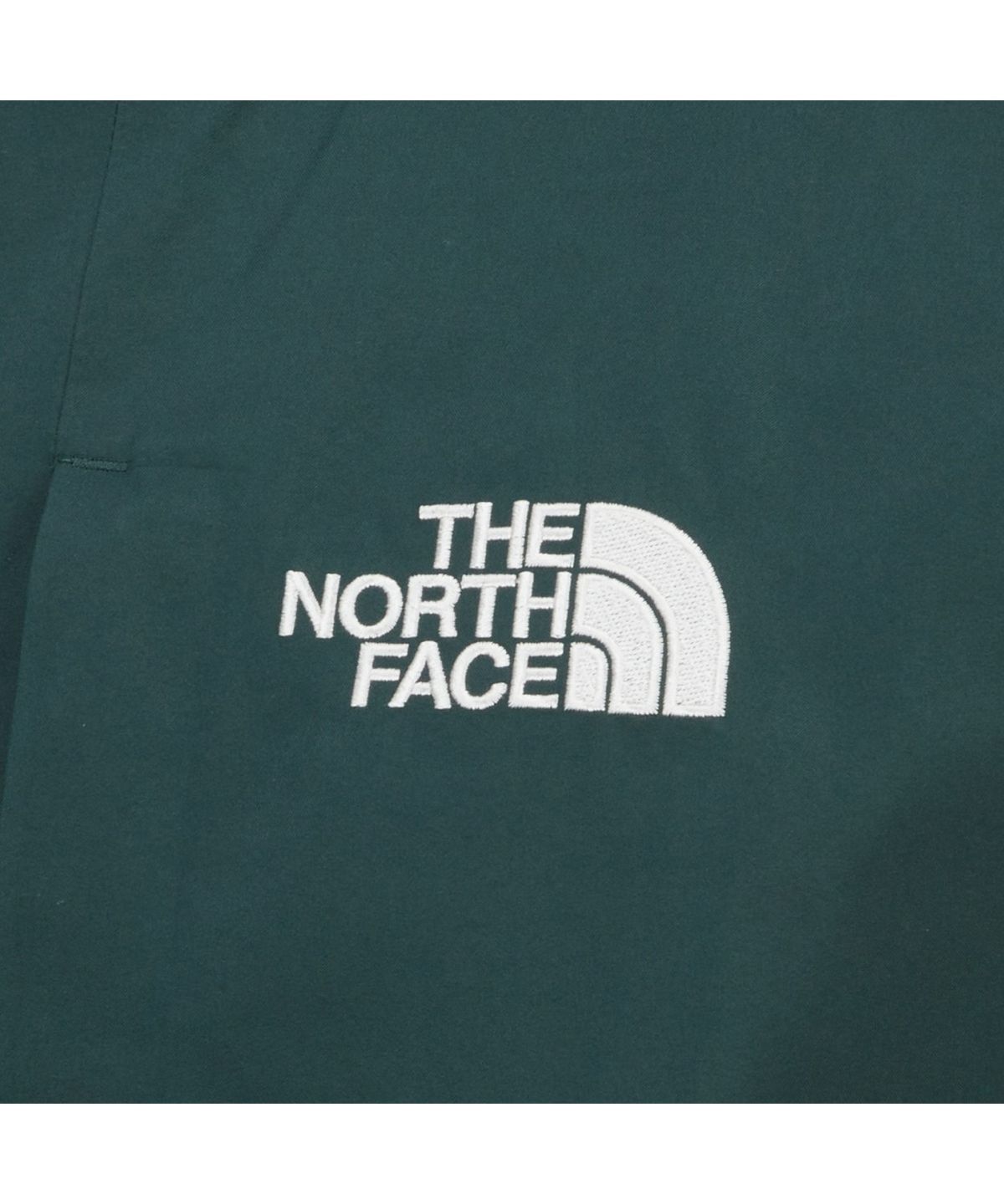 노스페이스(THE NORTH FACE) NJ2GR55C 남성 하이크 고어텍스 자켓 PINE