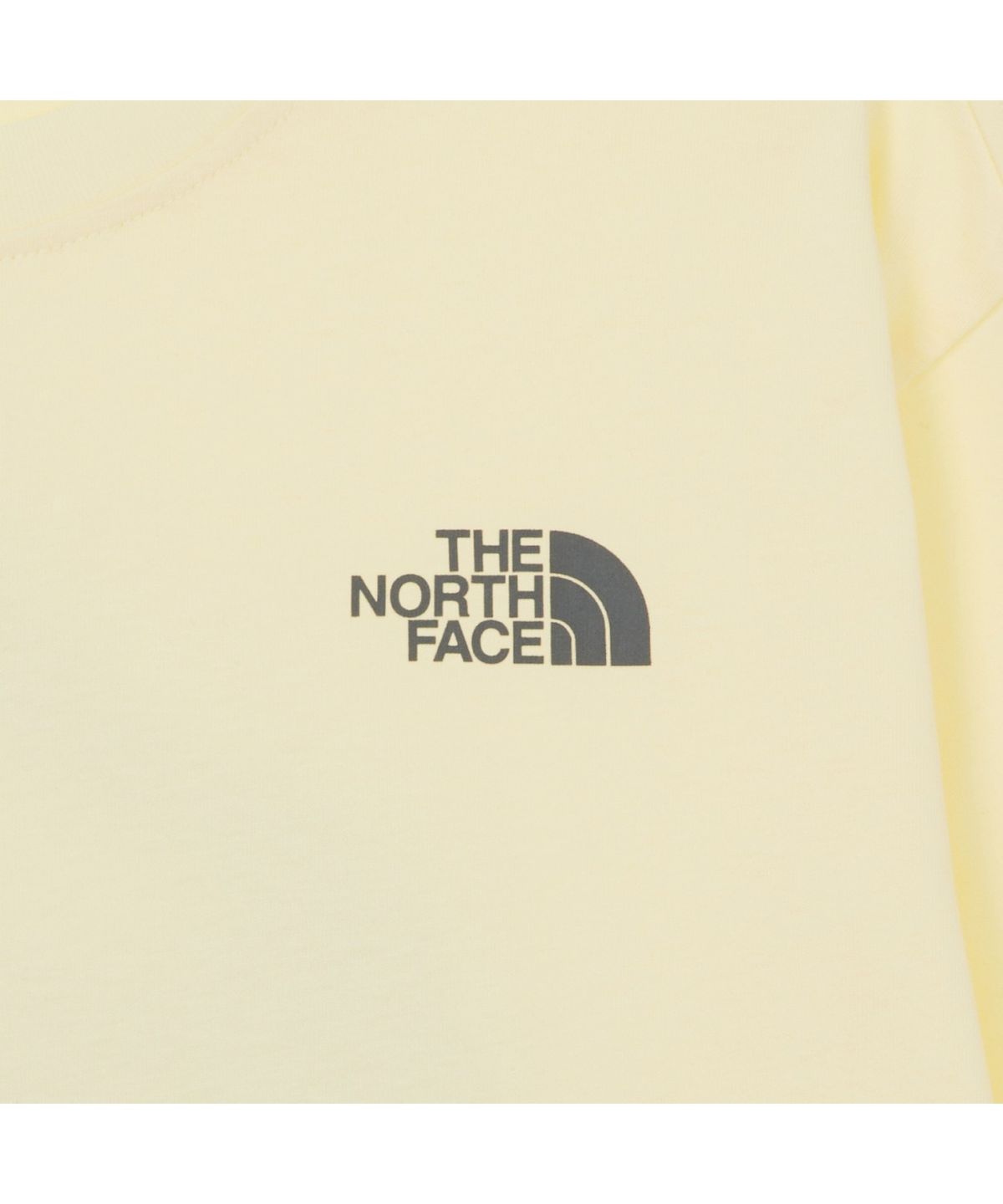 노스페이스(THE NORTH FACE) NT7TR70C 남성 카라비너 긴팔 티셔츠 PASTEL_YELLOW